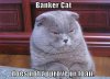 banker_cat-14328.jpg